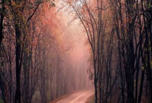 英超第15輪曼城2-1富勒姆 哈蘭德補時階段絕殺 曼城全取3分緊追領頭羊阿森納.