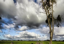 豪门国际注册：[NBA]约基奇29分17篮板9助攻 掘金战胜黄蜂.