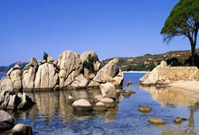 2023女足世界杯小組賽阿根廷2-2南非 兩敗局面!南非兩球優勢遭扳平!雙雙瀕臨淘汰.